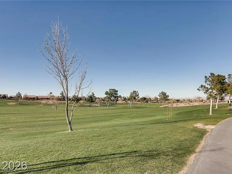 2110 Eagle Watch Dr — Photo 63