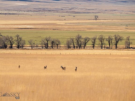 4th image of Buster Brown Rd