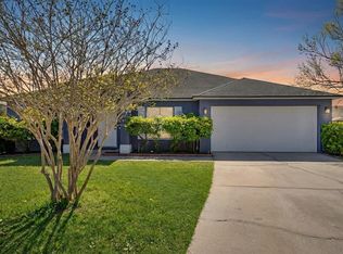 828 White Birch Ct, Orange City, FL 32763