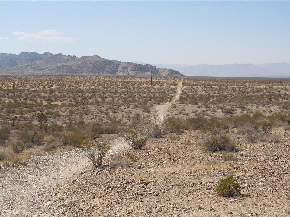 1st image of 0463-111-11-0000 Leaping Lizard Ln