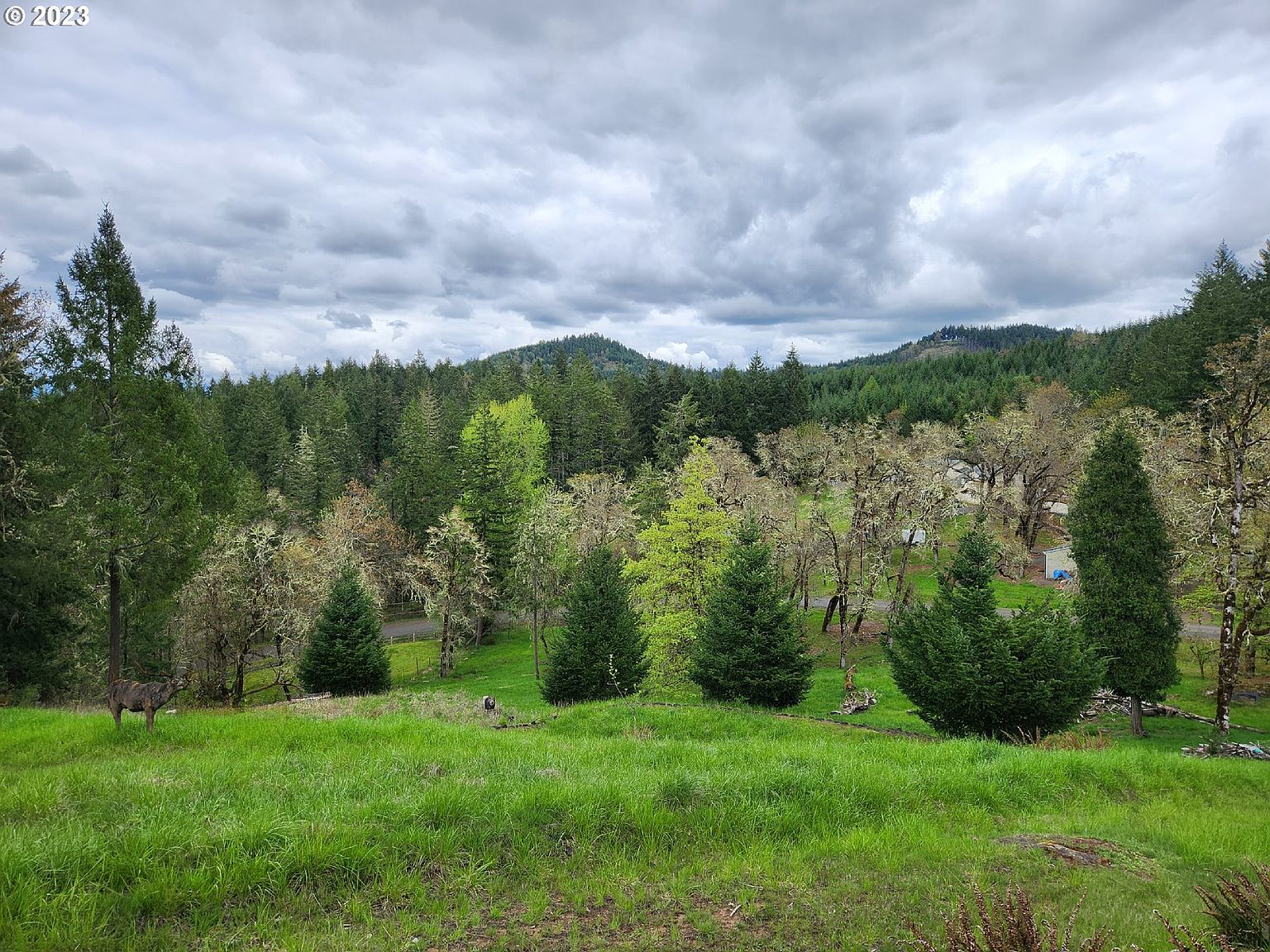 0 Laughlin Rd, Eugene, OR 97405 Zillow