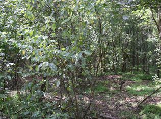 Russell Gap Rd, New Market, TN 37820