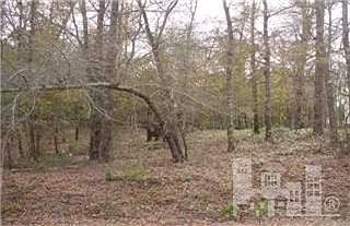 1st image of 1553 Chadwick Shores