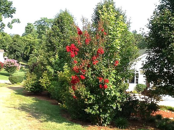 2nd image of 1733 S Seminole Dr