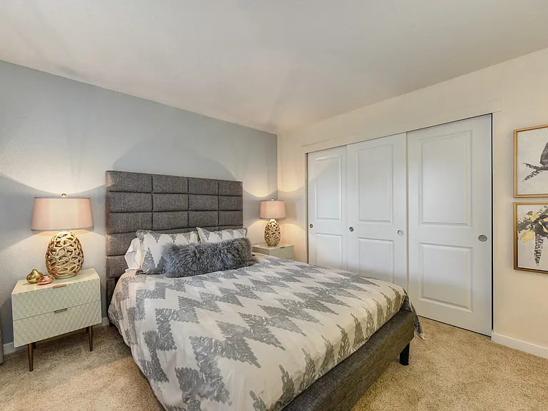 Bedroom with Large Closet
