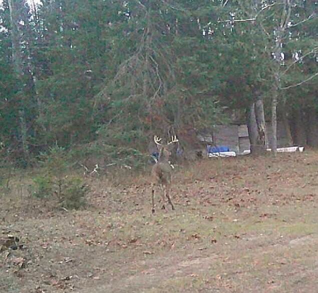 2nd image of 7363 Wegmeyer Rd