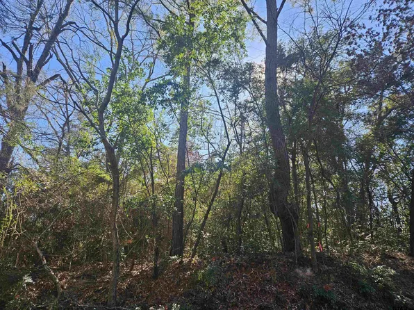 2719 W Van St, Tyler, TX 75702