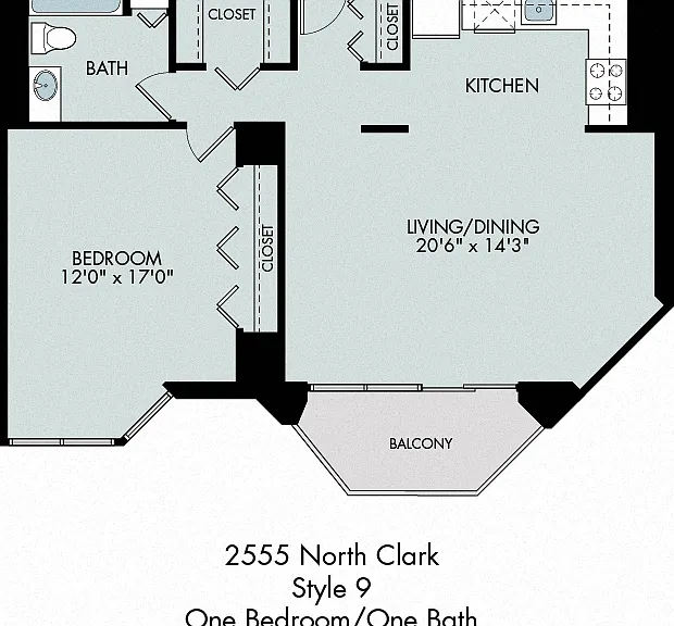 2555 N Clark St — Photo 18