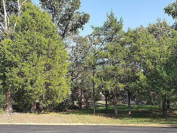 3rd image of Lake Lou Ella Dr
