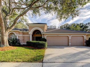 1318 Kings Way Ln, Tarpon Springs, FL 34688