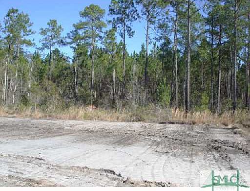 2nd image of 341 Abby Drive