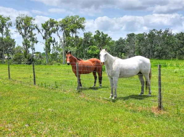 0 South Cres Lot 39-3, Lithia, FL 33547