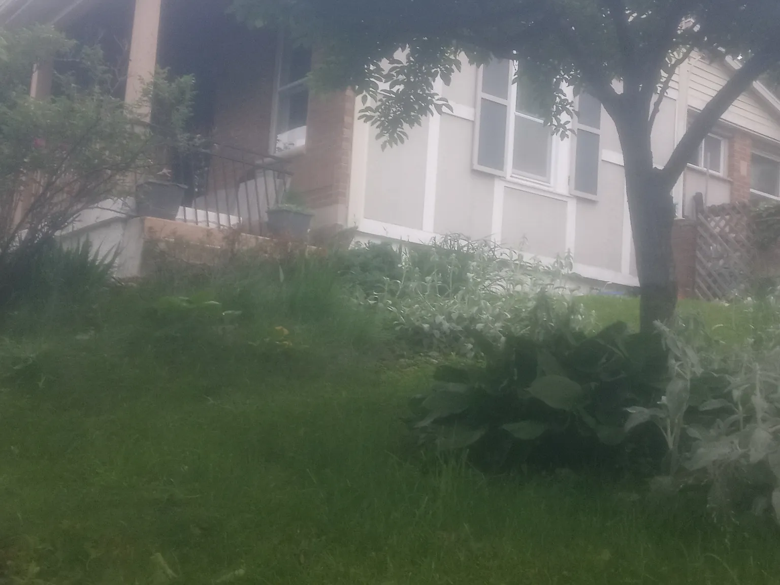 2 bed, 1160 sqft, $2,800 — Photo 2