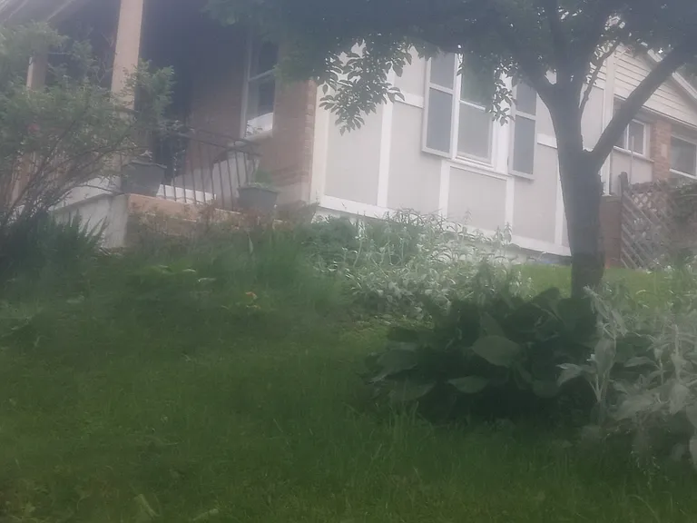 1828 W Fork Rd — Photo 2