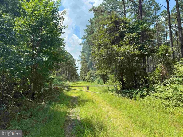 N Liberty Spring Road Tract Ches Block 4 #61-119, Suffolk, VA 23432