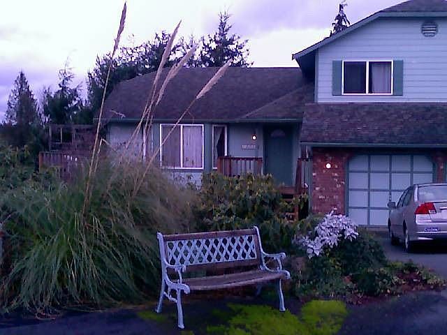 Front Yard