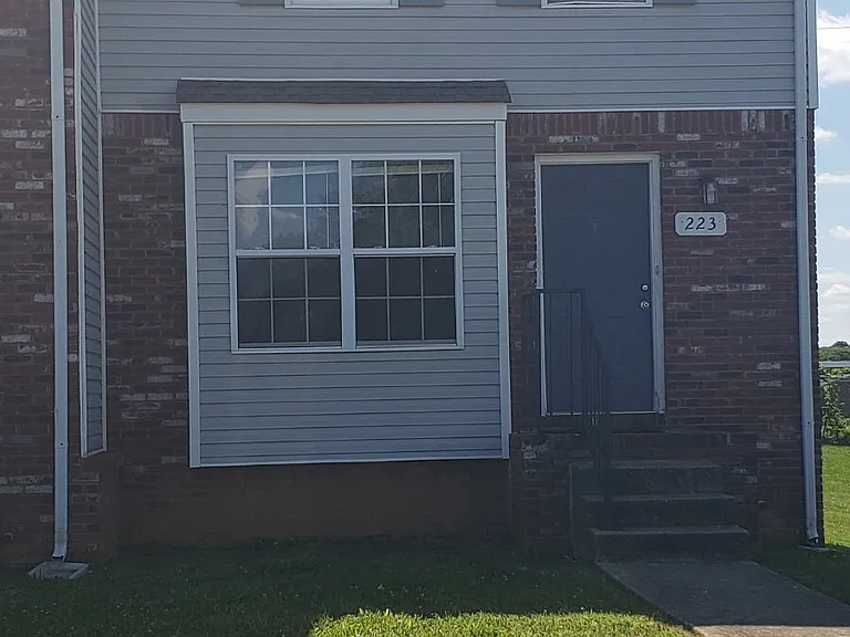 223 Tree Line Dr — Photo 1
