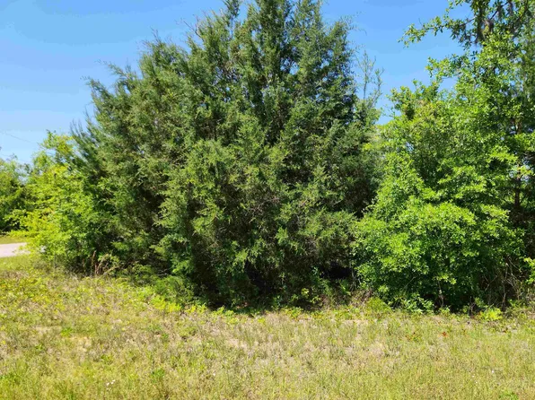 Xx Nw Lake McKenzie Blvd, Altha, FL 32421