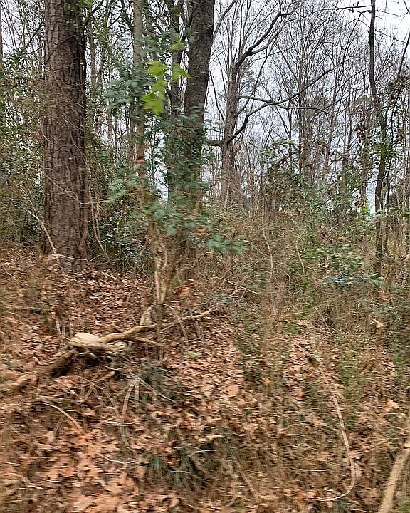 2nd image of 0 Beth St NW