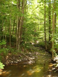 0 Robinson Rd, Bainbridge, NY, 13733