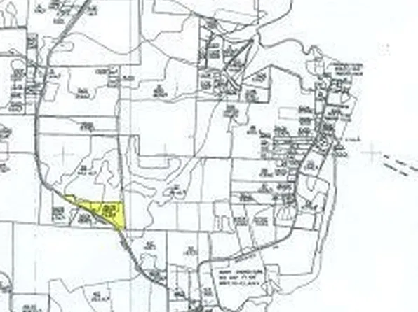 Britton Ford Rd, Springville, TN 38256