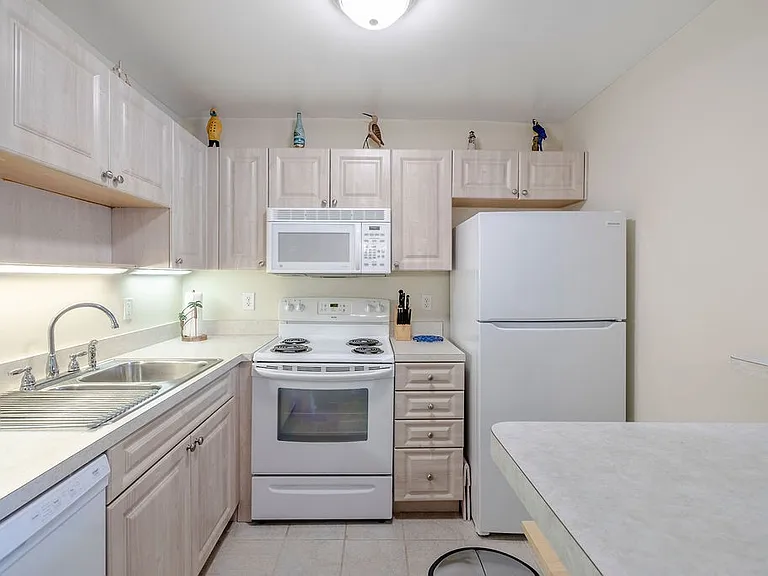 44 Woodland Dr #204 — Photo 16