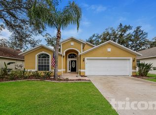 2517 Clareside Dr, Valrico, FL 33596