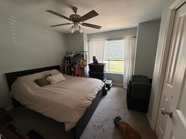 203 Alonzo Ct — Photo 21
