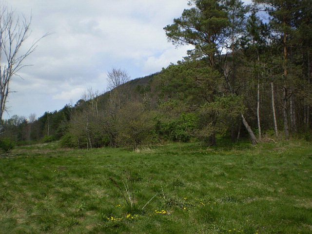 1st image of 0 Route 414