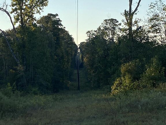 2nd image of 655 County Road 2202