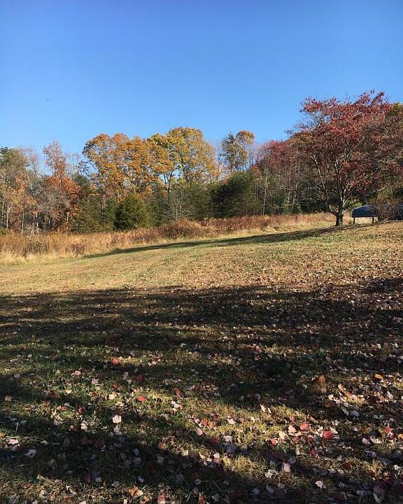2nd image of 481 Carroll Hollow Rd