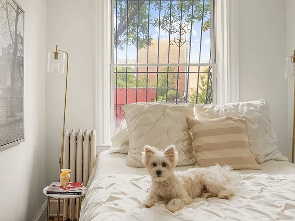 175 Prospect Park SW APT 1E, Brooklyn, NY 11218