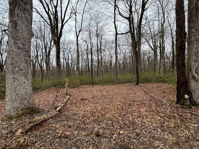 LOT 64 Blueberry Way Lot 64, Central City, PA, 15926