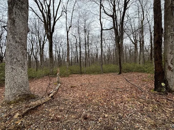 LOT 64 Blueberry Way Lot 64, Central City, PA 15926