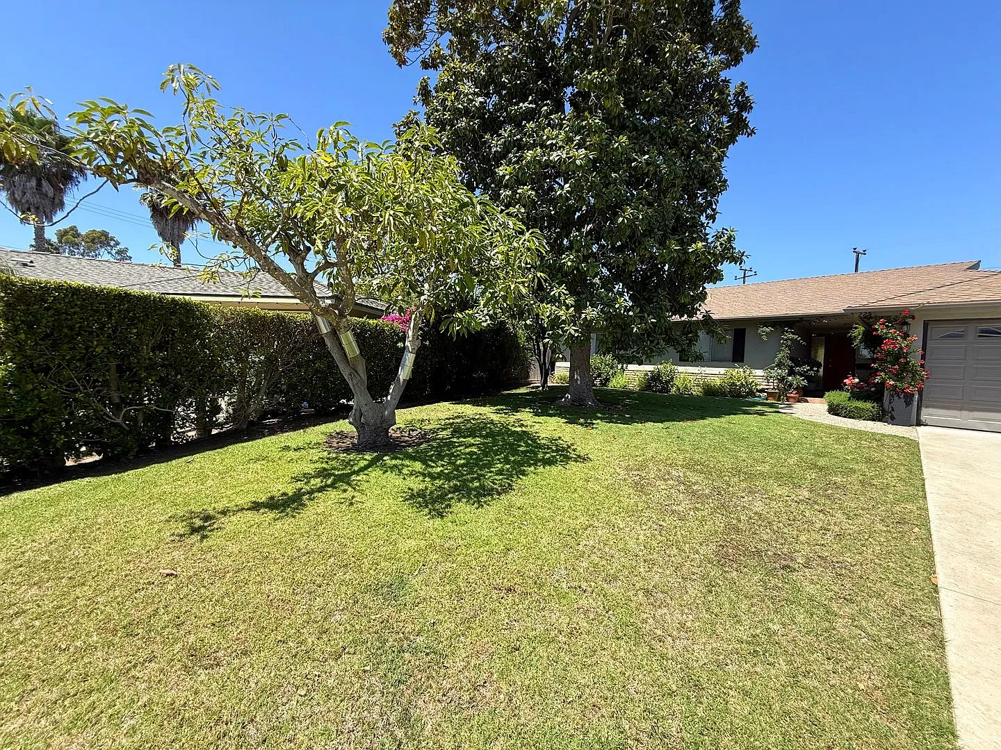 Spacious 3BR Home Near Monte Vista Elementary on Quiet Cul-de-Sac with Large Yard & Mountain Views — Photo 3