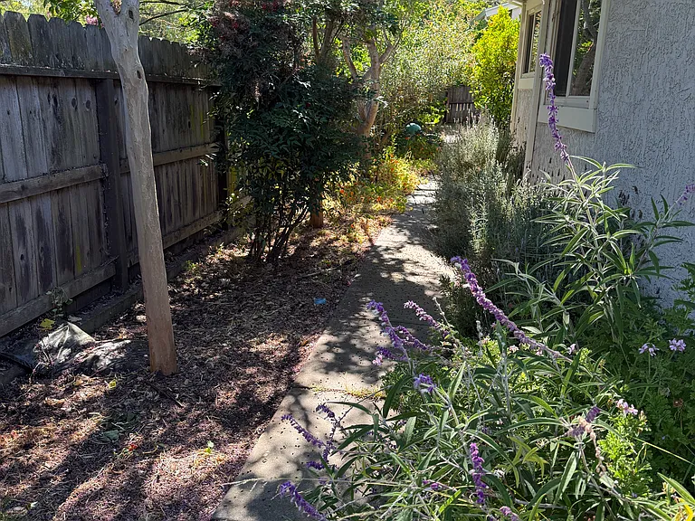 429 Maple Ave — Photo 15
