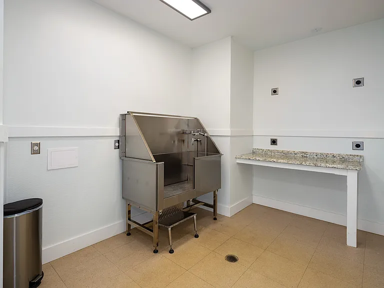 Pet spa with dog washing station
