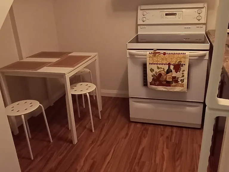 926 Walnut Ct #BASEMENT — Photo 7