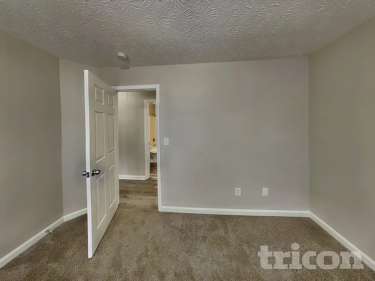 2818 Appaloosa Run — Photo 10
