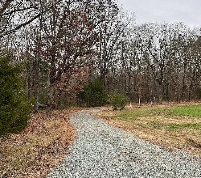 219 George Hudson Rd — Photo 12