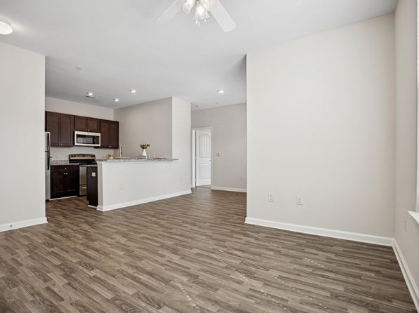 Pavilion Village | 131 Gracyn Olivia Dr, Charlotte, NC