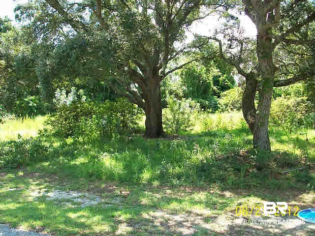 1st image of 5598 Bear Point Ave