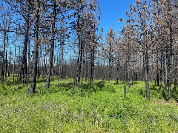 41311 N Jackson Rd, Elk, WA 99009