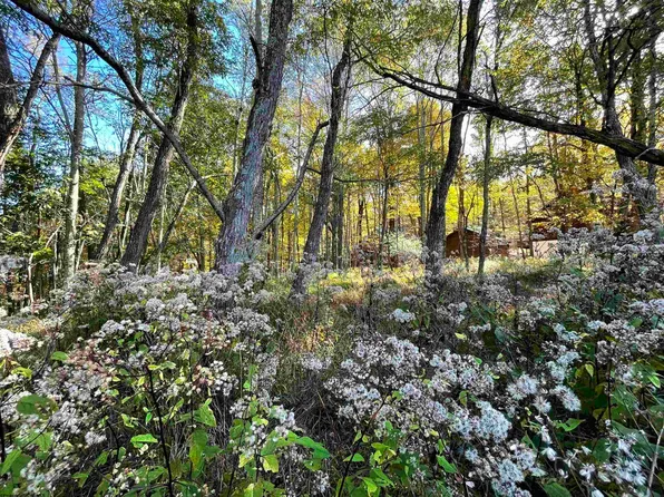 37 Daisy Ct, Terra Alta, WV 26764