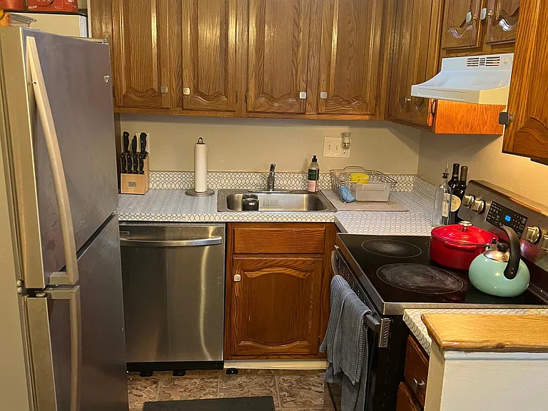 250 Tanglewood Ln #L2 — Photo 7