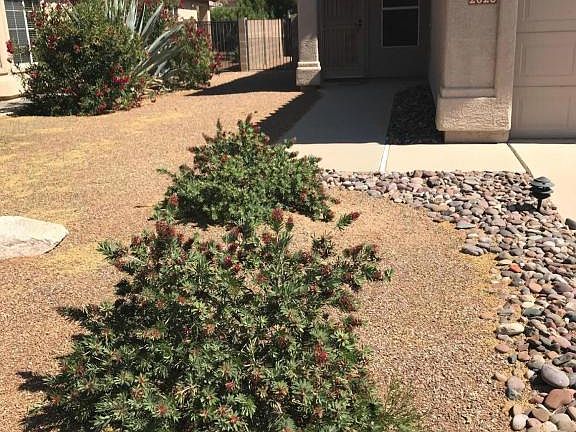 2nd image of 2628 W Desert Brook Ct