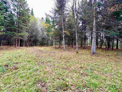 TBD Hollow Road, Colebrook, NH, 03576