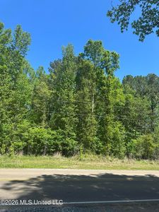 Robinson Springs Rd, Madison, MS, 39110