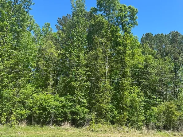 Robinson Springs Rd, Madison, MS 39110