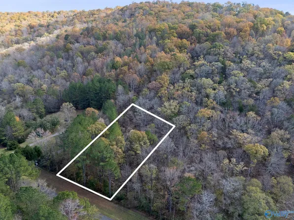 Ashley Dr, Grant, AL 35747